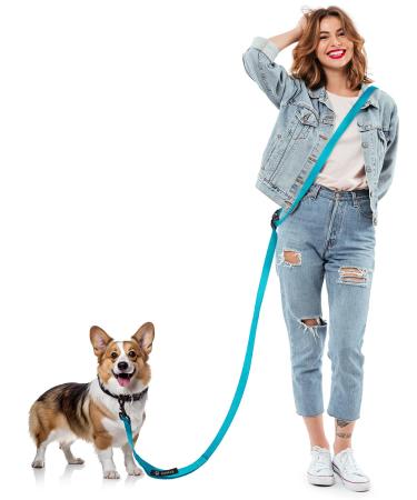 Freehand linen dog leash heelay jogging leash for dogs 2.5m adjustable exercise leash Fieline to run jogging hiking jogging line and normal dog leash for large medium -sized little dogs black