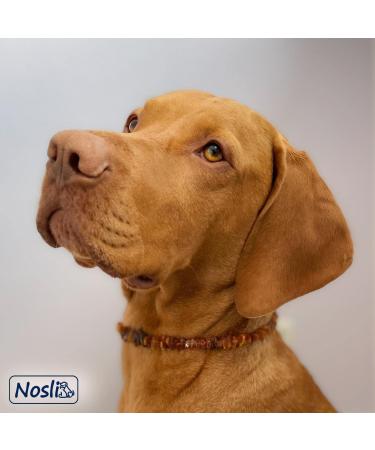 Nosli Amber Necklace Collar for Dogs & Cats | Baltic Amber Dog Collar | 60cm Amber Collar - Buy Online on SooperMarket.com