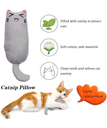 MOSNOW Cat Chase Toys 1 Pack 2 in 1 LED Pointer Cat Toys&1 Pack Cat Catnip Toys Funny Cat Toys Pet Interactive Toys for Pet Indoor Exercise Training Tool - Buy Online on SooperMarket.com