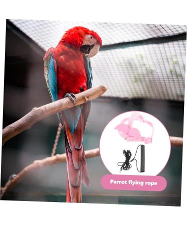 Beavorty 4 Sets Bird Leash Suspend Bird Training Bird Flying Harness Bird Harness Leashes Vest Clothing 12X6X1.3CMx4pcs Pinkx4pcs - Buy Online on SooperMarket.com