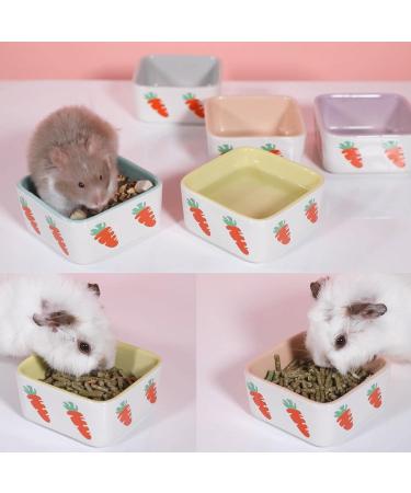 JanYoo Hamster Food Bowl Guinea Pig Feeder Accessories Ceramic for Cage with Water Supplies for Bunny Blue Yellow 150 ml (2 Pack) C-Blue+Yellow Pack of 2 - Buy Online on SooperMarket.com