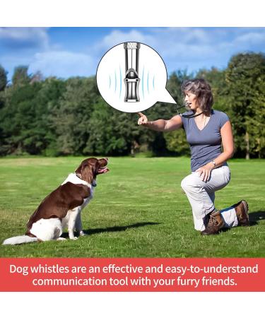 Byyt Ultrasound Dog Whistle - High Frequency Training Tool with Lanyard | Effective Bark Control & Dog Education - Buy Online on SooperMarket.com