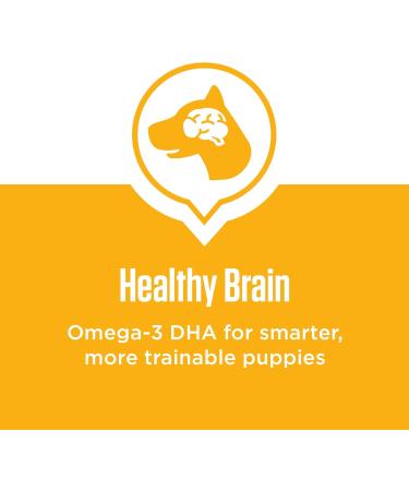 IAMS Proactive Health Adult Dry Dog Food + IAMS Puppy Dry Dog Food Chicken and Whole Grains Bundle 13.6 kg Dog Food + Dog Food 6.80kg - Buy Online on SooperMarket.com