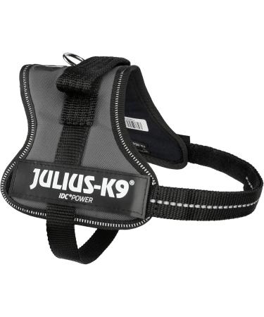 Buy K9 Powerharness XS/Mini-Mini in Anthracite | Premium Dog Harness for Comfortable International Shipping - Buy Online on SooperMarket.com