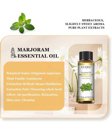 EUQEE Marjoram Essential Oil 10ml Pure Natural Marjoram Oils Aromatherapy Essential Oils for Diffusers for Home Relax Humidifiers Marjoram 10.00 ml (Pack of 1) - Buy Online on SooperMarket.com