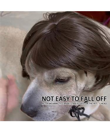 1 Piece Pet Wig Dog and Cat Cosplay Wig Christmas Dog Wig Large and Small Dog Wig Pet Wig with Bangs Suitable for Artistic Photos and Holiday Parties (Brown) - Buy Online on SooperMarket.com