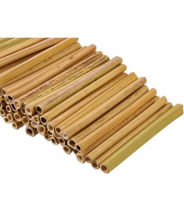 100 Pack Natural Bamboo Sticks for Crafts - 5.2 Long, 0.26-0.37 Thick - DIY Bee Houses, Jewelry Projects - Craft Supplies - Buy Online on SooperMarket.com