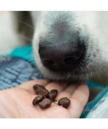SKIPPER'S Training Treats for Dog Chews and Puppy Training Treats 500g - Source of Omega 3 Grain Free Good for Digestion 100% Natural Ingredients No Additives 500 g (Pack of 1) - Buy Online on SooperMarket.com