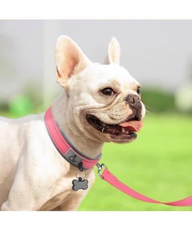 Joytale Softly Padded Neoprene Dog Collar for Small Dogs - Reflective Nylon Pink - 1 Pack - Buy Online on SooperMarket.com
