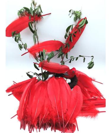 100pcs Red Goose Feathers 6-8 Inch - Ideal for Crafts, Wedding Decor, Clothing Accessories - Buy Online on SooperMarket.com