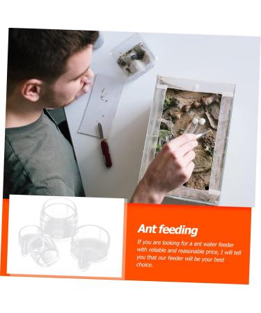 SEWOART 2pcs Ant Water Feeder Ants Ant Nest Water Feeder Ant Liquid Feeder Pet Waterer Transparent Acrylic - Buy Online on SooperMarket.com