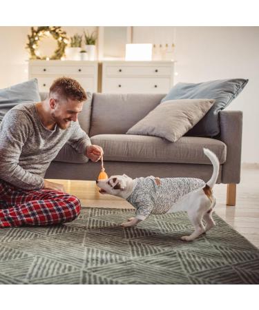 Wisebom 4PCs Winter Dog Sweater Set | Classic Knitting for Small & Medium Dogs | Warm Soft & Easy to Carry - Buy Online on SooperMarket.com