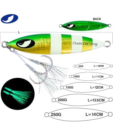 Ocean Cat Slow Fall Pitch Fishing Lure Set - 1PC Sinking Lead Metal Flat Jigs with Hooks | 100g | Ideal for Saltwater Jigging - Buy Online on SooperMarket.com