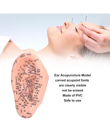 6.7 inch Silicone Ear Acupuncture Model - Ideal for Acupoint Learning & Home Care - Buy Online on SooperMarket.com