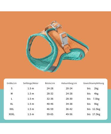 Fueegue Cat Harness with Leash - Escape Proof Adjustable Soft Harness for Cats & Small Dogs - Green S - Buy Online on SooperMarket.com