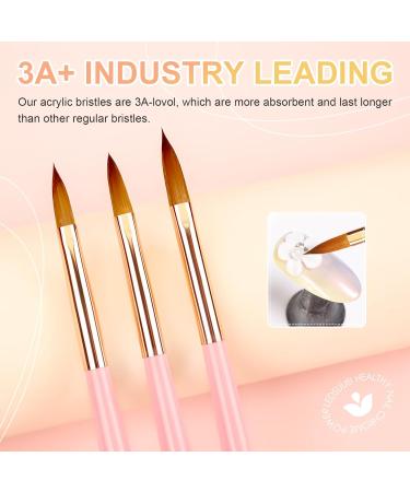 LEDSUUEI Kolinsky Acrylic Nail Brush Set - Size 8/10/14 - High Quality Durable Brushes for Beginner Nail Art - Ideal for Acrylic Powder and Gel Nails - 3D Nail Art Tool - A-COLOR - Buy Online on SooperMarket.com