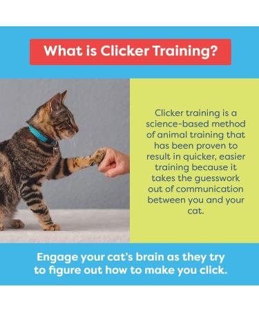 CAT SCHOOL Clicker Training Kit - 1 Cat Training Clicker 1 Target Stick 1 Step-by-Step Instruction Booklet - Clicker Tools for Cat Training Fist Bump Training Positive Behavior - Buy Online on SooperMarket.com