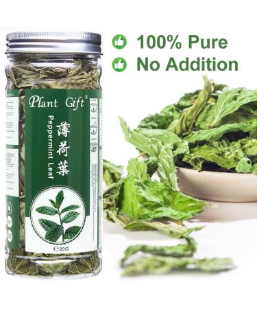 100% Organic Peppermint Tea - Health Benefits & Traditional Flavor - 30g | Global Shipping - Buy Online on SooperMarket.com