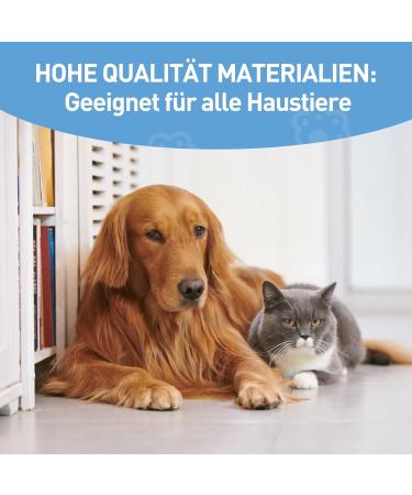 HOMJOY Professional Pet Nail Scissors & Files - Stainless Steel Nail Clippers for Dogs Cats Guinea Pigs - Safe & Durable Blue - Buy Online on SooperMarket.com