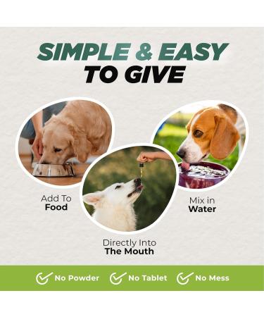 BUDDY'S BEST Anti-Inflammatory for Dogs - All-Natural Joint Pain Relief with Flaxseed Hemp Ginger & Turmeric Oils Soothing Formula 50ml - Buy Online on SooperMarket.com