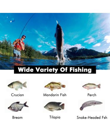 12-Piece Trout Spoon Set | Realistic Trout Bait & Spinner for Pike Zander Perch | Complete Fishing Set with Spoon Box - Buy Online on SooperMarket.com