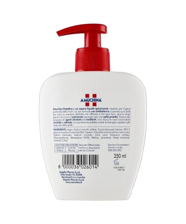 Buy Amuchina Protection Soap 250ml - Effective Antimicrobial Cleanser for Global Shipping - Buy Online on SooperMarket.com
