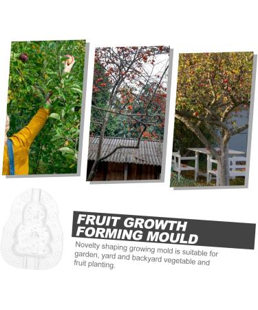 Milisten Gardening Tools 6 pcs Watermelon Mould Tools Clear Supplies Growing Garden Vegetable Multifunction Moldvegetable Transparentx2pcs 9x8cmx2pcs - Buy Online on SooperMarket.com