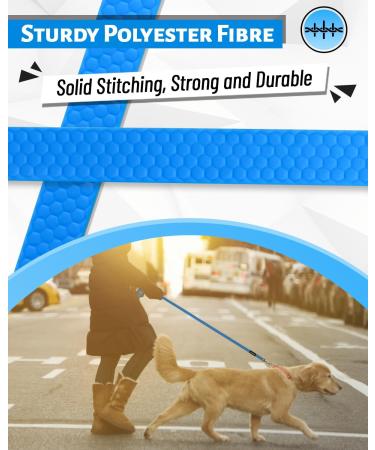 Looxmeer 7m Neon Blue Dog Tow Line - Robust Training Line with Storage Bag | International Shipping Available - Buy Online on SooperMarket.com