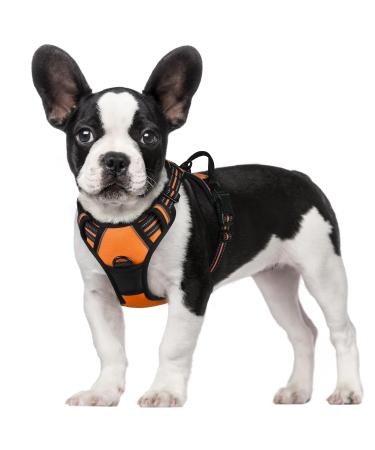 Rabbitgoo dog harness medium -sized dogs anti train crockery dog with control no pull adjustable dog harnesses large dogs breathable reflex stripes breast harness dog safe guided tour orange s s s (1 Pack) orange