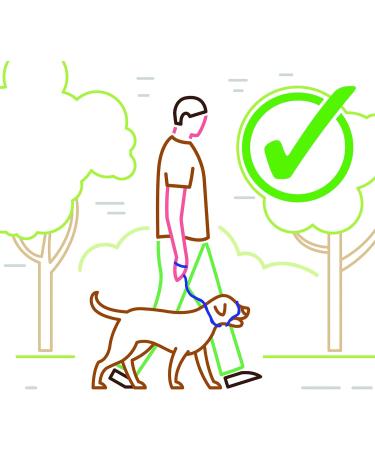 Dog & Field Figure 8 Anti Pull Lead/Halter/Head Collar (RED) - One Size Fits All - Soft Braided Nylon - Comfortable, Secure & Proven for Enjoyable Walks - Buy Online on SooperMarket.com