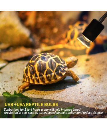 Caldarax 2 Pack Reptile Heating Bulb E27 Dimmable UVA UVB Bulb Tortoise 25W Turtle Basking Bulb for Reptiles and Amphibians Heat Lamp Bulb for Tortoise Bearded Dragon Lizard Snake - Buy Online on SooperMarket.com