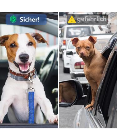 Oyefly Universal Dog Seat Belt Elastic Safety Belt for Dogs & Cats | Strong Carabiners | Fits All Car Types (Blue) - Buy Online on SooperMarket.com