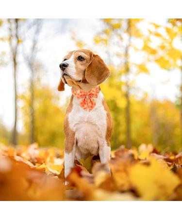 Autumn Dog Collar - Adjustable Yellow Cotton Hall Band with Sailor Flying Design for Small & Medium Dogs - Pack of 1 - Buy Online on SooperMarket.com