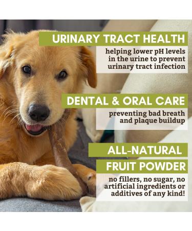 Wholistic Pet Organics WholeCran Intense - Organic Dog Cranberry Powder for UTI and Kidney Health - 2 Oz - Buy Online on SooperMarket.com