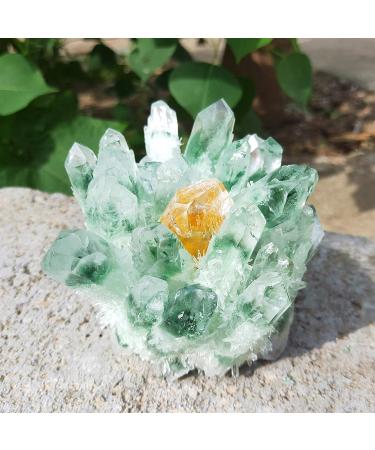 Natural Stone 300-1000g Garden Cluster Natural Green Ghost Quartz Ore raw Gemstone SpecimenHome Decor (Size : 900-1000g) HOMEZHOU (Size : 1.1 1.2kg)