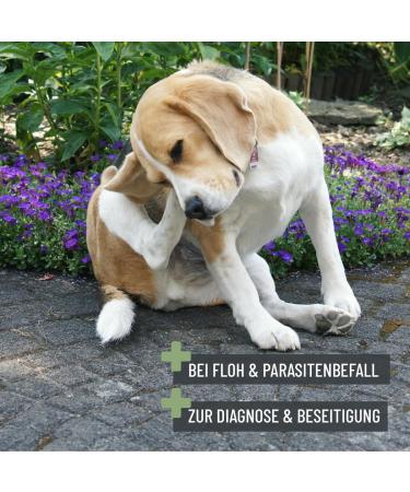 Reavet Flea & Lice Comb for Dogs & Cats | Gentle Fur Care for Long & Short Hair | Effective Parasite Removal Tool - Buy Online on SooperMarket.com
