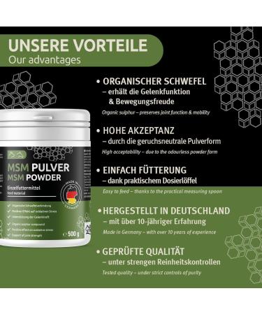 Greenpet MSM Powder for Dogs & Horses | 500g High-Purity Methylsulfonylmethane | 99.94% Pure Organic Sulfur for Joint Health Tendons & Cartilage Support - Buy Online on SooperMarket.com