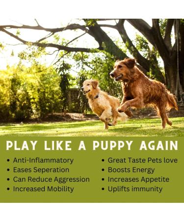 Pet Hemp Oil 225 000 Mg (8 oz) Extra Strength Formula - Peanut Butter Flavoured - Derived Hemp Seed Oil - Hip Joint Support and Skin Coat Health Non-GMO Omega 3 6 9 Balance Oil Made in Canada - Buy Online on SooperMarket.com