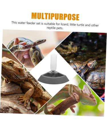 BELLIFFY Turtle Drinker Auto Feeder Reptile Food Bowl Automatic Reptile Feeder Automatic Waterer Pet Plastic 17.00X17.00X3.50CM Grey - Buy Online on SooperMarket.com