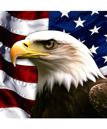 Theshai 5D Diamond Painting for Adults Eagle  American Flag Paint with Diamonds Kits Round Full Drill Crystal Rhinestone Embroidery Cross Stitch Diamond Arts for Home Wall Decor (35X35cm) Clear