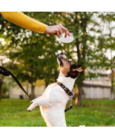 KALIONE 6 Packs Dog Scent Work Tins Scent Training Box for Dogs Small Dog Food Container Agility Training Equipment for Dogs Dog Scent Training Tools Kit Aluminum Containers for Dog Nose Training - Buy Online on SooperMarket.com