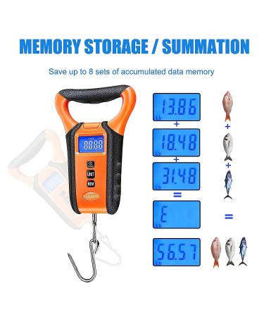 Waterproof Fish Scale Floating Fishing Scale with Lip Gripper - 110lb/50kg, Backlit LCD Display, Memory Storage & Summation - Perfect Fishing Gift for Men - Buy Online on SooperMarket.com