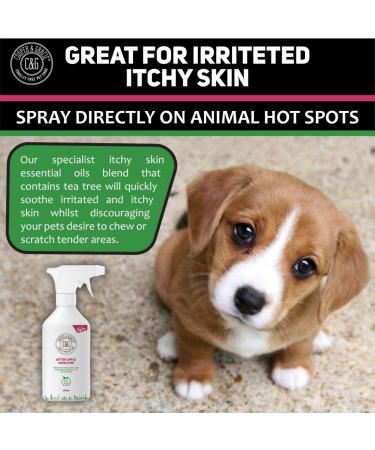 C&G Pets | No Chew Bitter Apple Spray for Dogs | Stop Dog Chewing Deterrent | Alcohol Free Anti Chew Repellent Formula for Puppies Cats Horses and Rodent Pets - Buy Online on SooperMarket.com