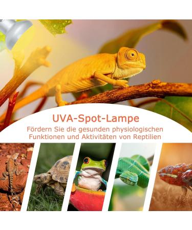 Buy Lucky Herp Reptiles Heat Lamp 100W - UV UVA Light for Turtles Chickens Dogs & Amphibians | 2-Pack Upgrade for Terrariums - Buy Online on SooperMarket.com