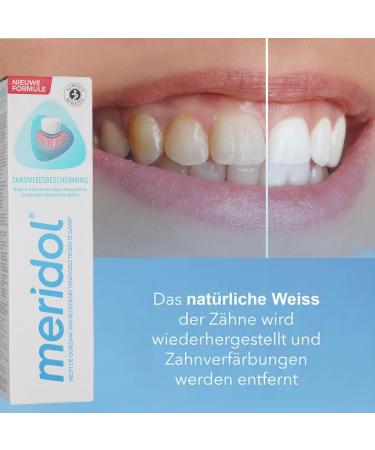 Buy Meridol Toothpaste Gum Protection 75 ml - Set of 12 & Celexqua Toothbrush Cap | International Shipping Available - Buy Online on SooperMarket.com