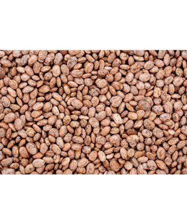 Buy Organic Quail & Pinto Beans - Gourmet Quality Dried Whole Beans (400g) | Natural Protein Boost for Healthy Living - Buy Online on SooperMarket.com