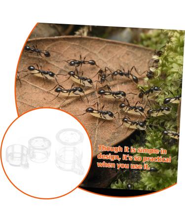 COLLBATH 2pcs Ant Water Feeder Ant Nest Water Feeding Area Ant Water Feeding Bowl Mini Animals Ants Acrylic - Buy Online on SooperMarket.com