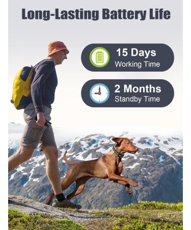 Dog Training Collar with 3300Ft Remote Range 3 Training Modes Sound/Vibration/Strong Vibration Security Lock IP67 Waterproof & Rechargeable Anti Barking Collar for Large Medium Small Dogs (GREEN) - Buy Online on SooperMarket.com