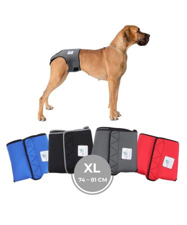 Sailing trousers for bitches 2.0 - dog diapers made of high -quality perforated neoprene for an optimal air exchange - dog diapers for male without the annoying threading of the rod (XL -gray) XL gray
