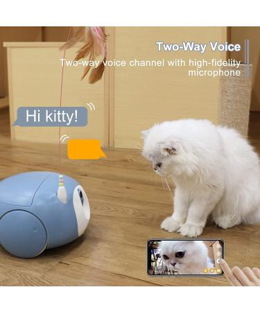 Pumpkii Home Robot Pet Camera with Treat Dispenser, App Control, 2-Way Audio, 1080P HD Camera, Night Vision | Interactive Cat Dog Toy - Buy Online on SooperMarket.com